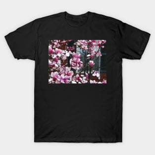 Hello, Spring! T-Shirt